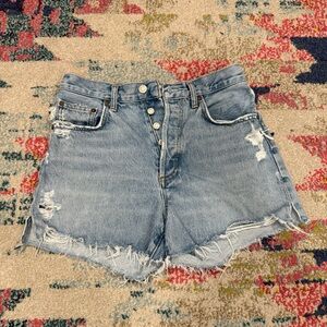 Agolde Parker Shorts